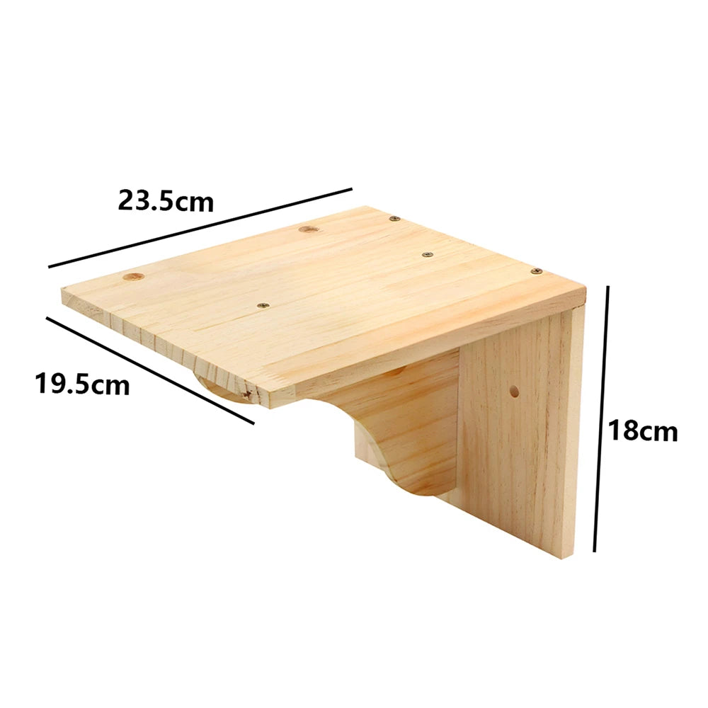 Wall-Mounted Feline Escape - OllieMart
