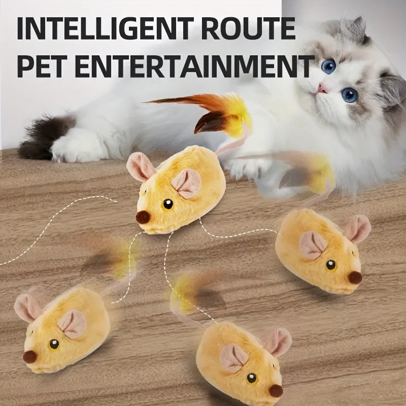 Interactive Cat and Mouse Toy - OllieMart
