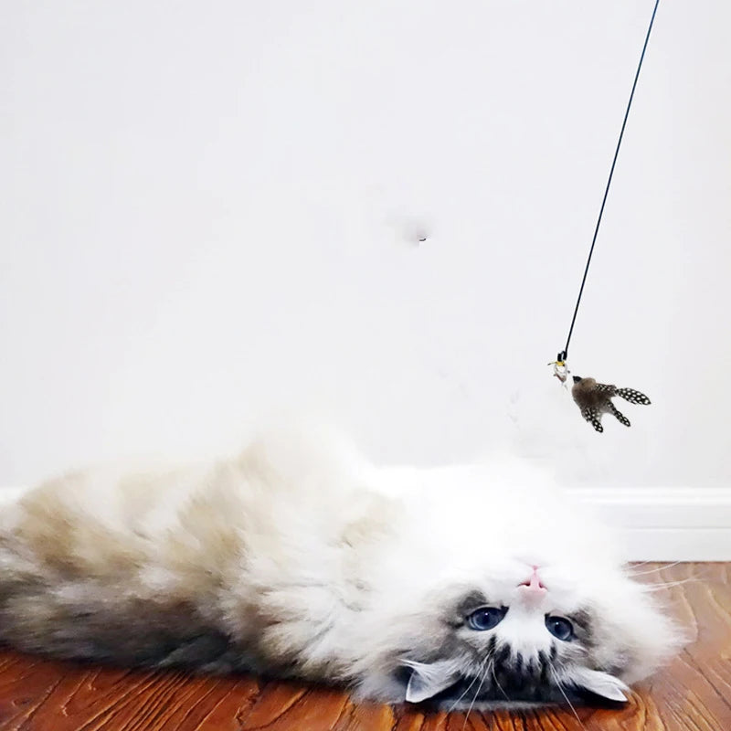 Interactive Cat Teaser Stick with Suction Cup, Feather & Bell - OllieMart