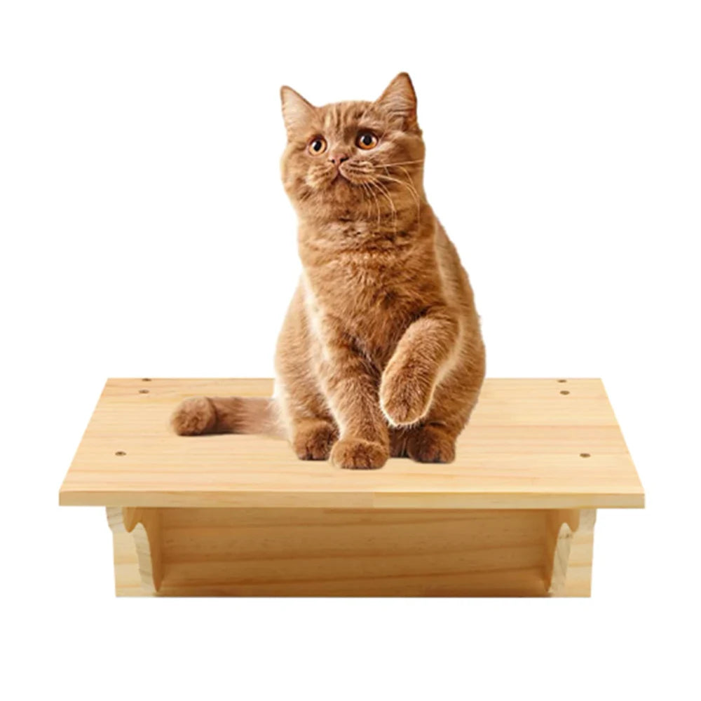 Wall-Mounted Cat Lounge - OllieMart