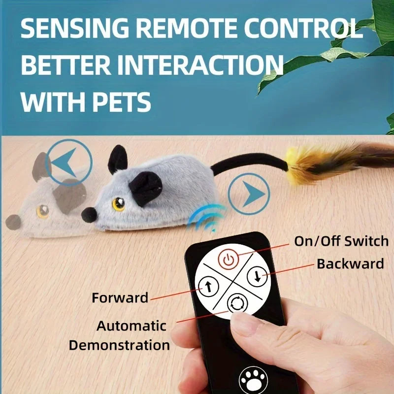 Interactive Cat and Mouse Toy - OllieMart