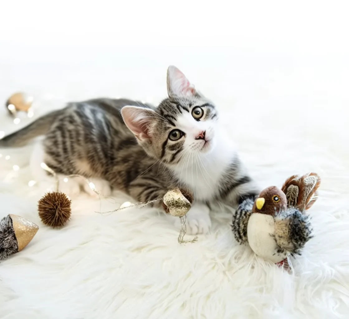 Chirping Catnip Bird Toy - OllieMart