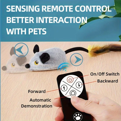 Interactive Cat and Mouse Toy - OllieMart